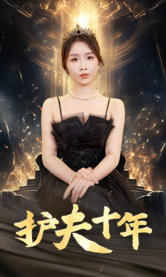 护夫十年(2024)海报