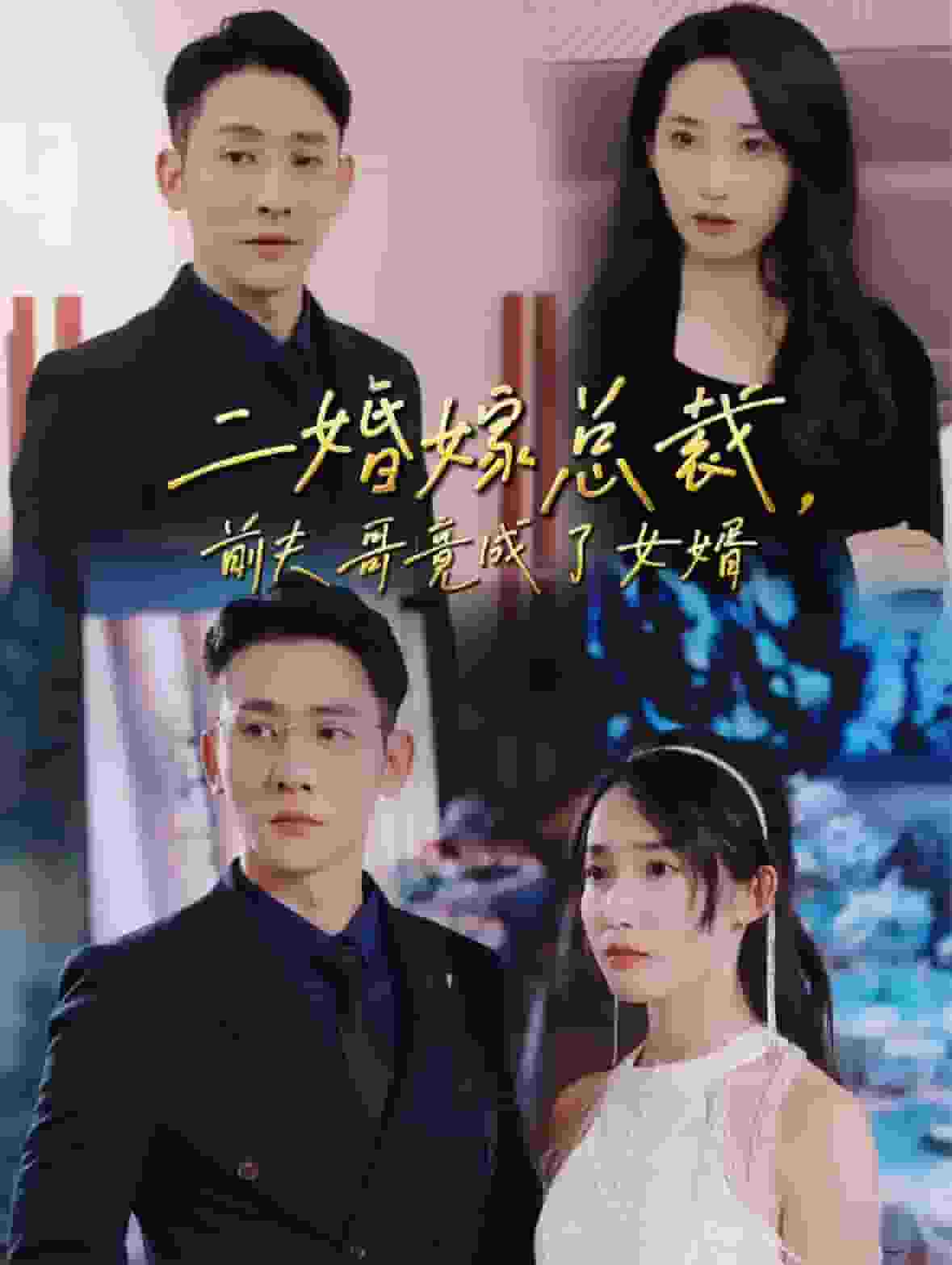 二婚嫁總裁前夫哥竟成了女婿(2024)海報