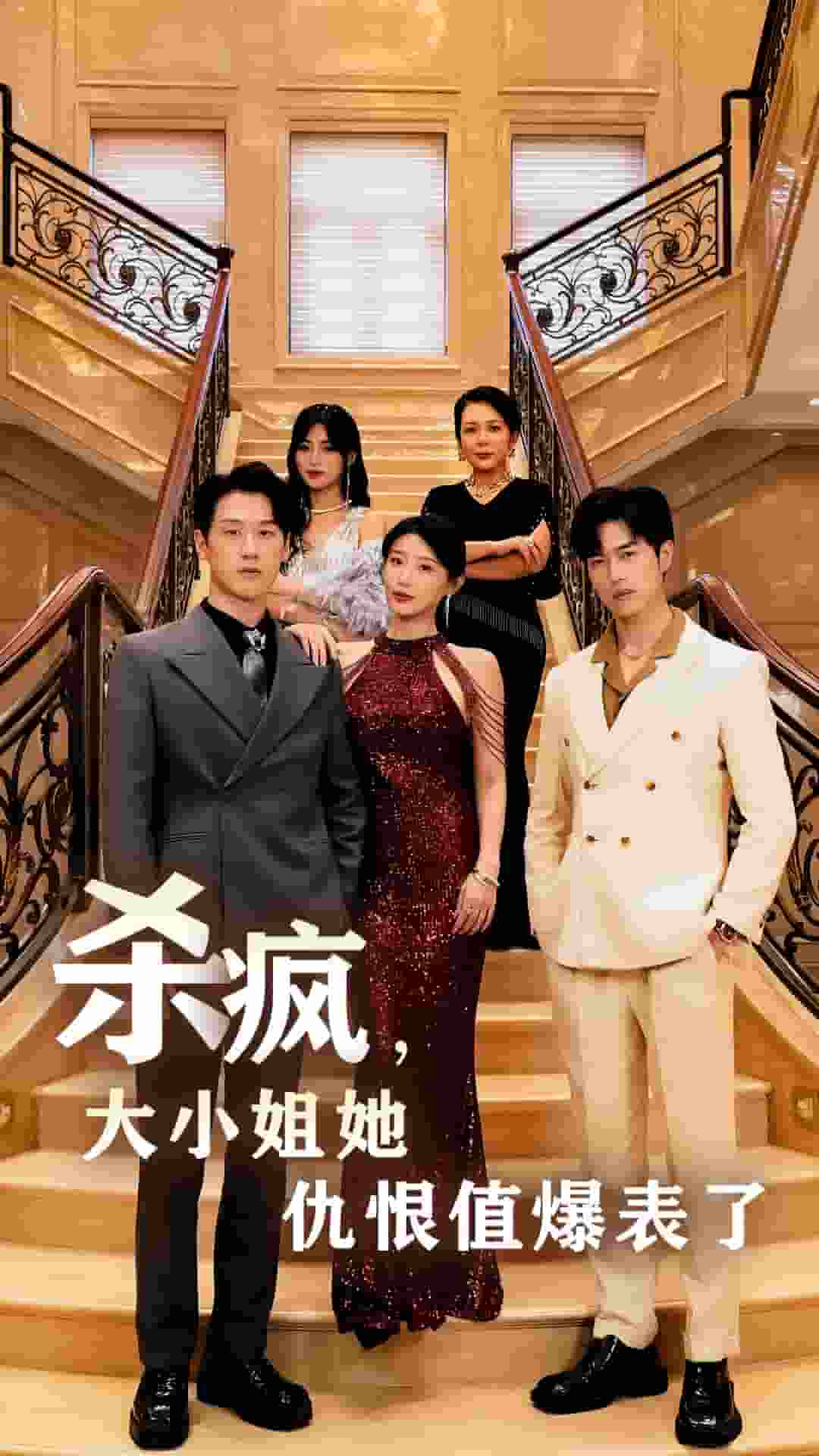 杀疯,大小姐她仇恨值爆表了(2024)海报