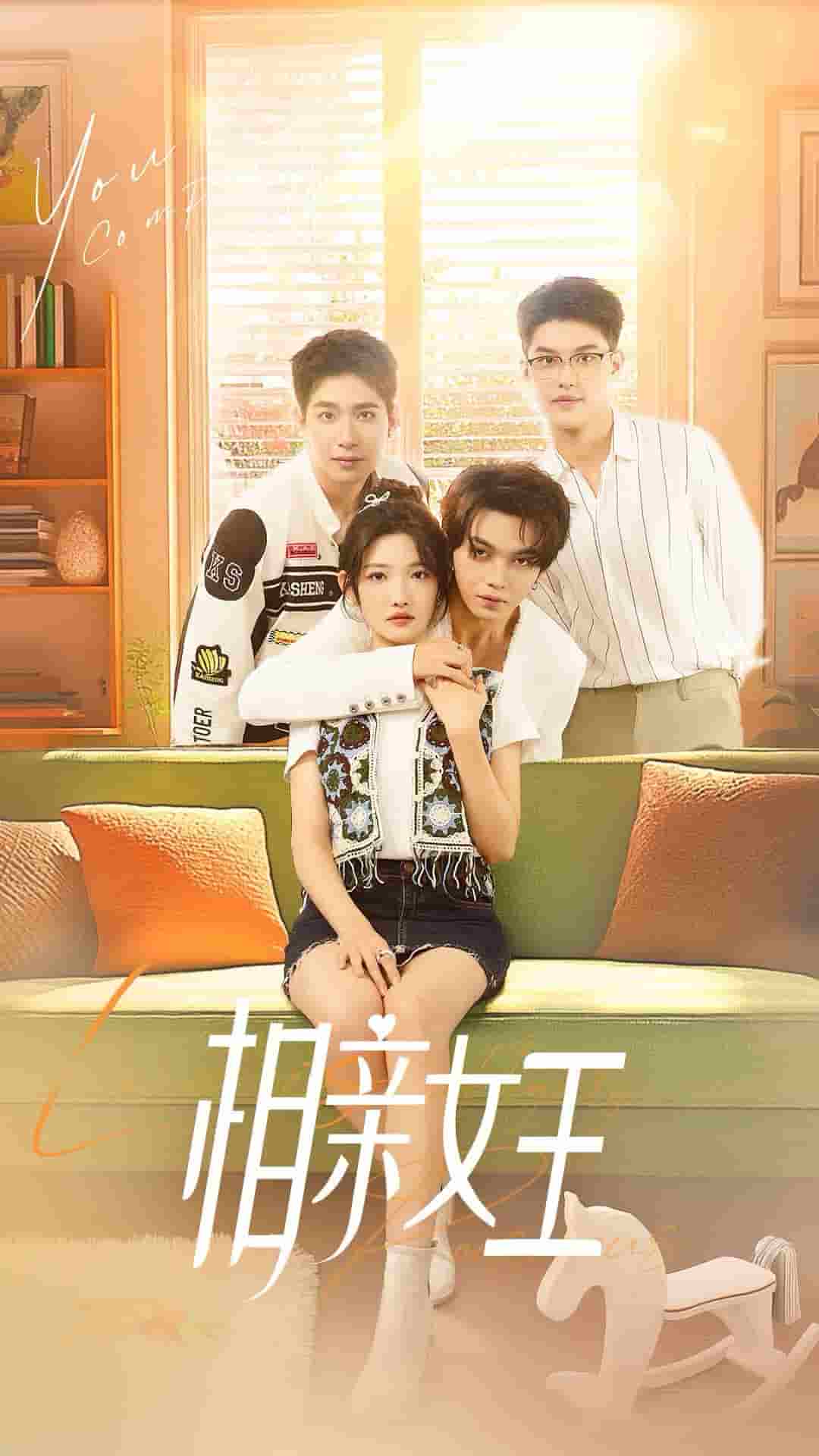 相亲女王(2024)海报
