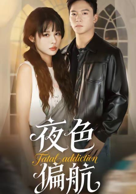 夜色偏航(2026)海报