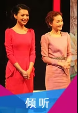 倾听2011(2011)海报