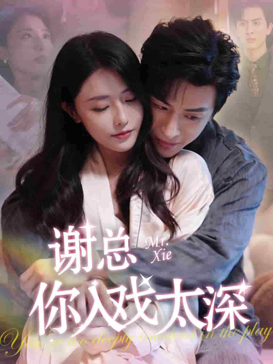 谢总你入戏太深(2024)海报