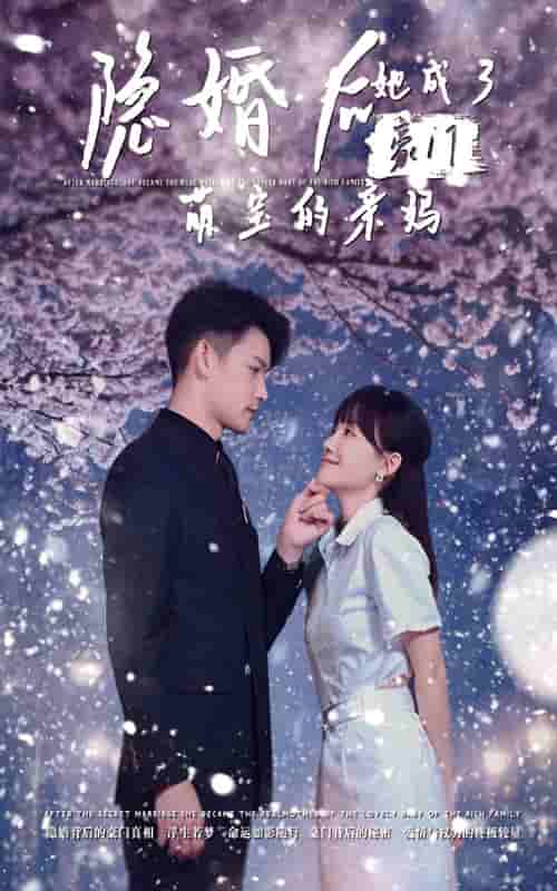 隱婚後,她成了豪門萌寶的親媽(2024)海報