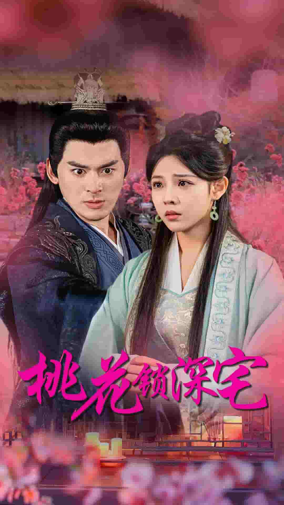桃花锁深宅(2024)海报