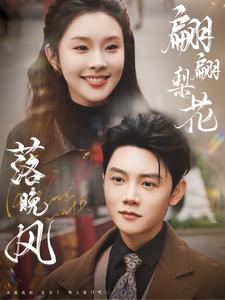 翩翩梨花落晚风(2025)海报