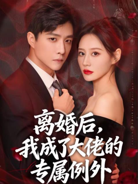 离婚后,我成了大佬的专属例外(2026)海报
