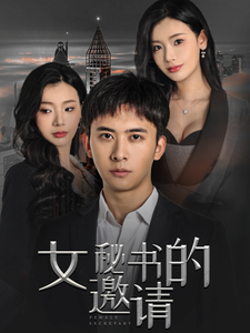 女秘書的邀請(2024)海報