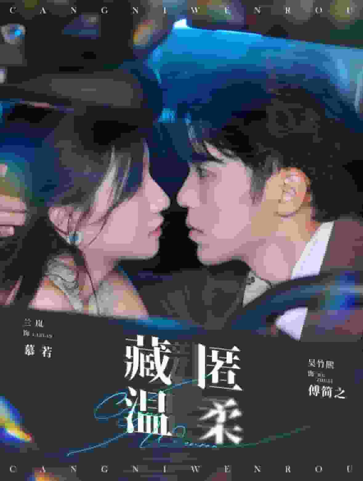 藏匿溫柔(2024)海報