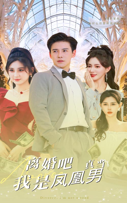 離婚吧真當我是鳳凰男(2024)海報