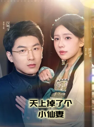 天上掉了個小仙妻(2025)海報