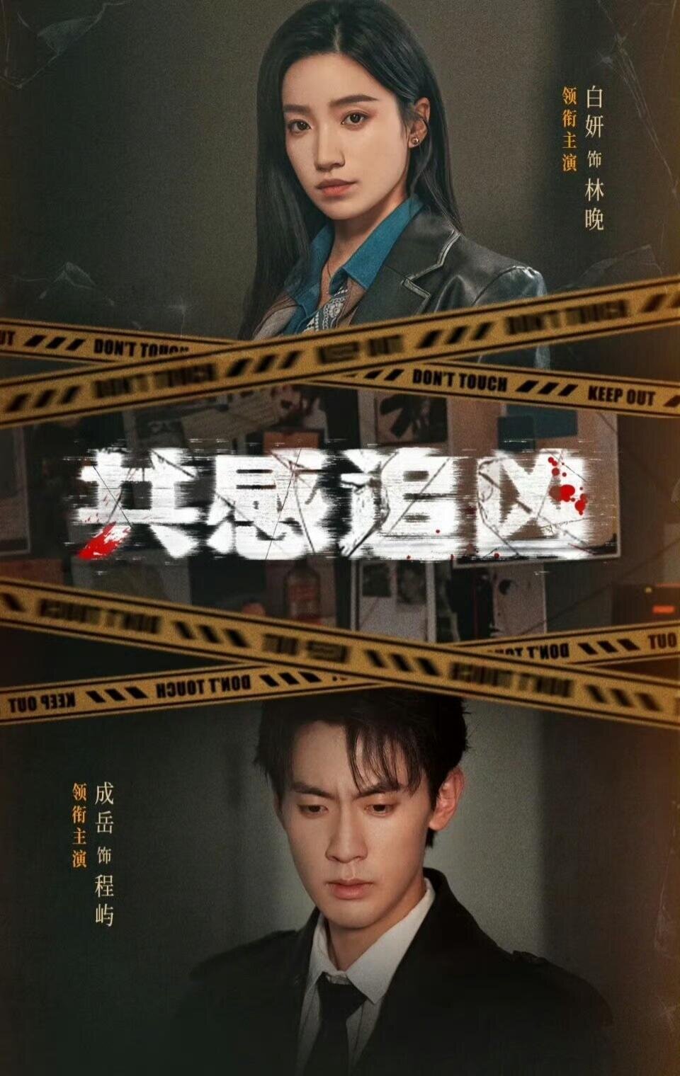 共感追兇(2026)海報