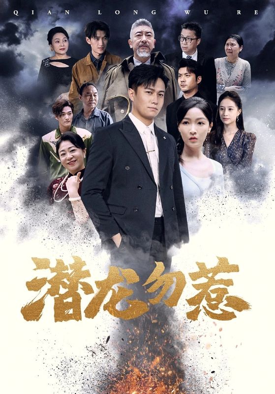 潛龍勿惹(2024)海報