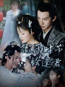 微雨時節恰逢君(2024)海報