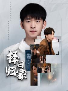 择日归家(2024)海报