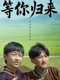 等你歸來2025(2025)海報