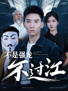 不是强龙不过江(2024)海报