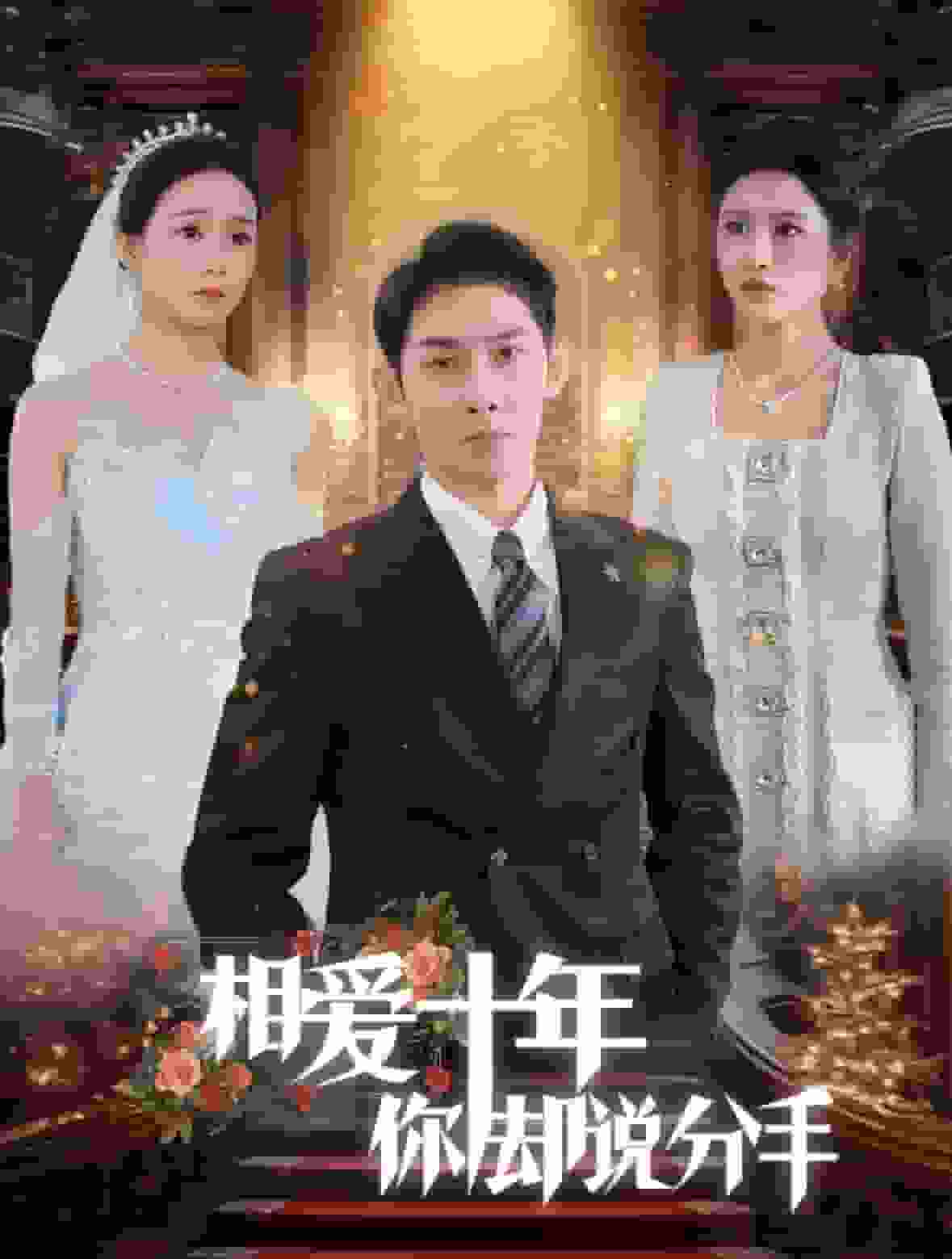相爱十年你却说分手(2024)海报