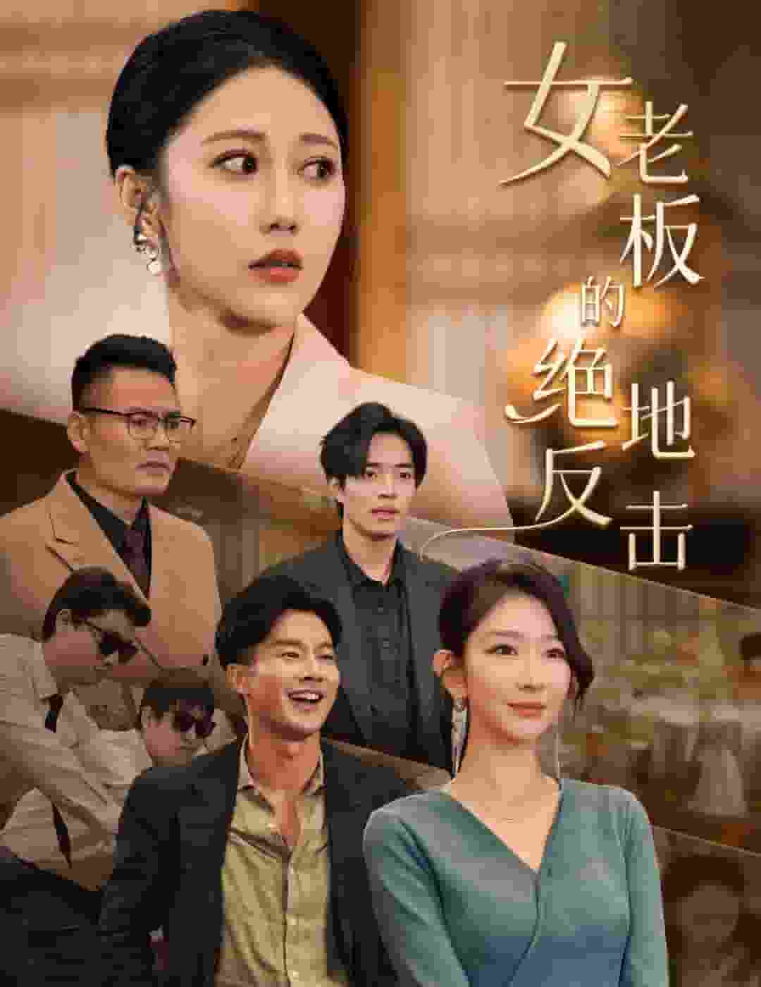 女老板的绝地反击(2024)海报