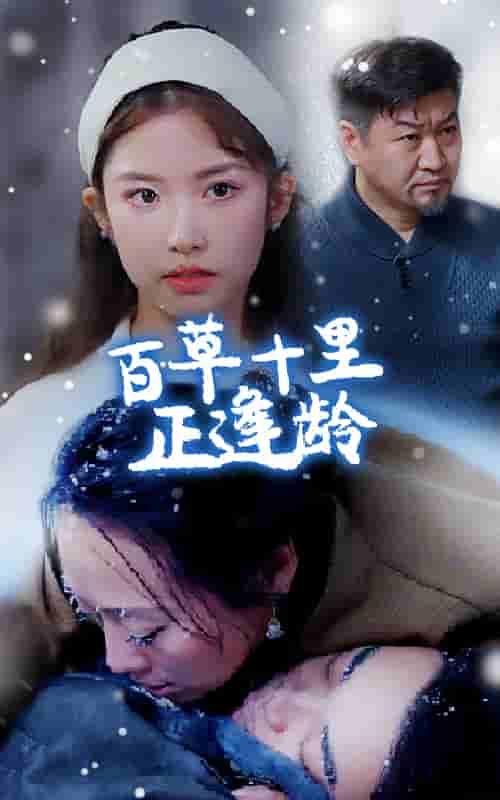 百草十里正逢齡(2025)海報