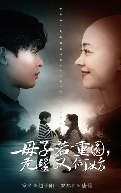 母子若重圓無鬢又何妨(2025)海報