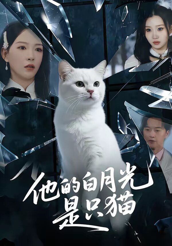 他的白月光是隻貓(2026)海報