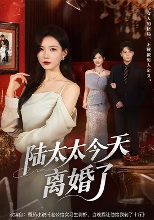 陸太太今天離婚了(2026)海報