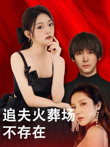 追夫火葬场不存在(2024)海报