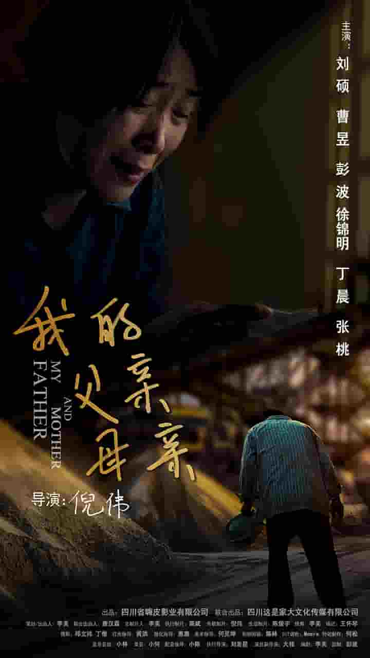 我的父親母親(短劇版)(2025)海報
