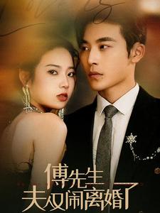 傅先生夫人又闹离婚了(2024)海报