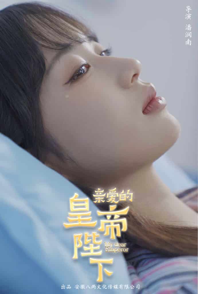 亲爱的皇帝陛下(2024)海报