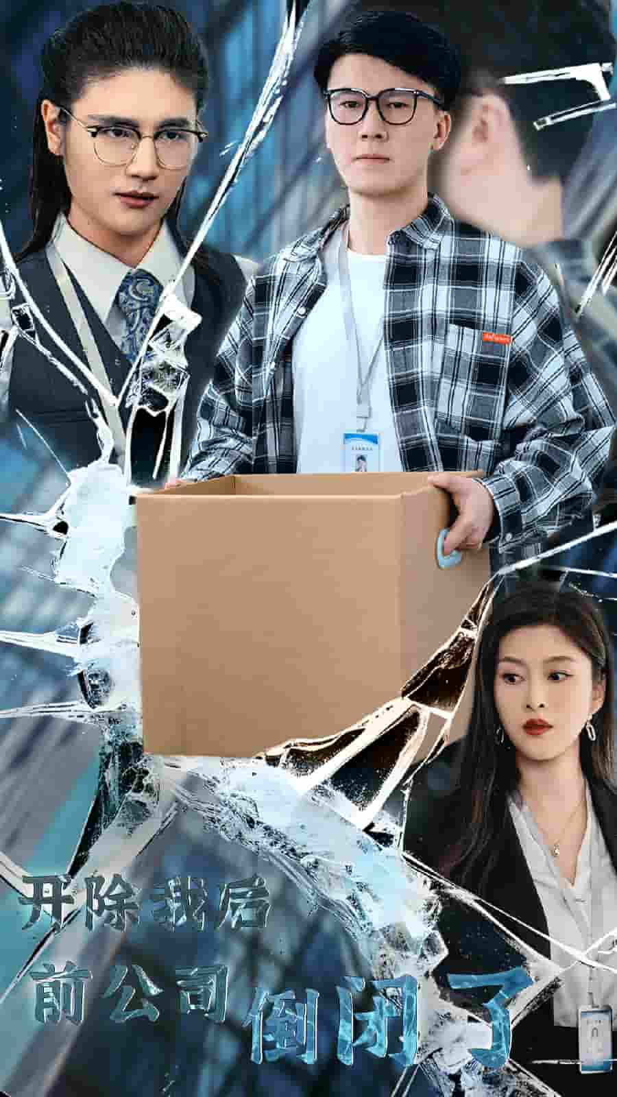 開除我後前公司倒閉了(2025)海報