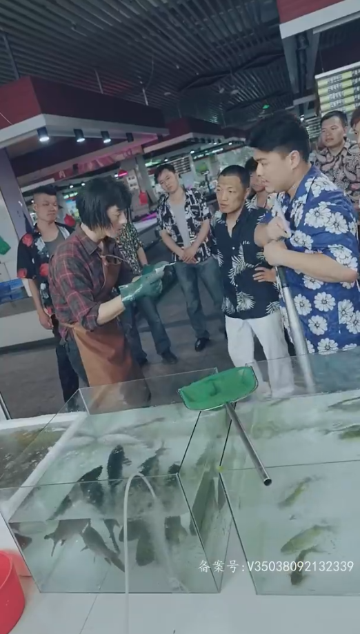 最新版:護國神帥(2024)海報