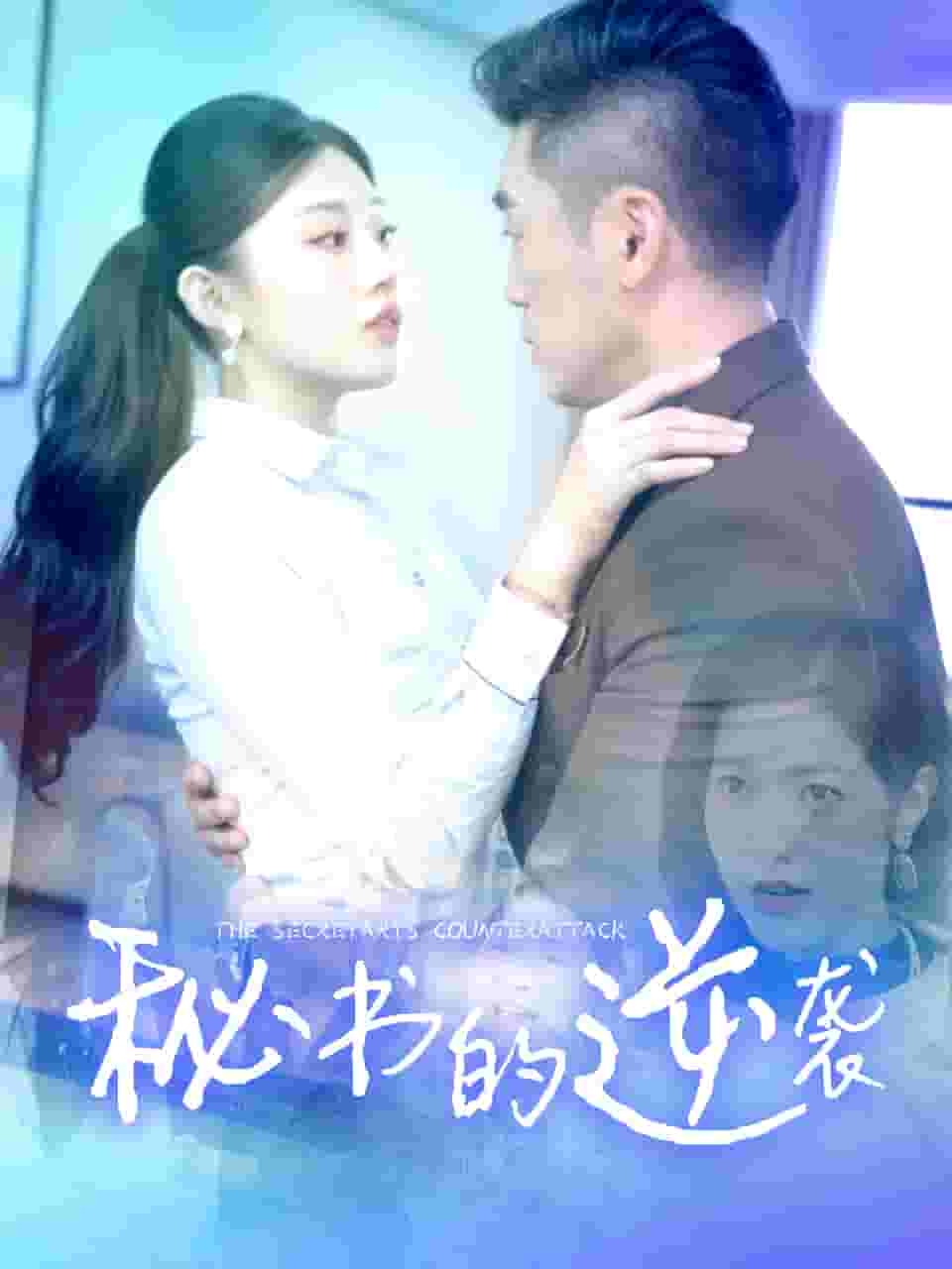 秘書的逆襲(2024)海報