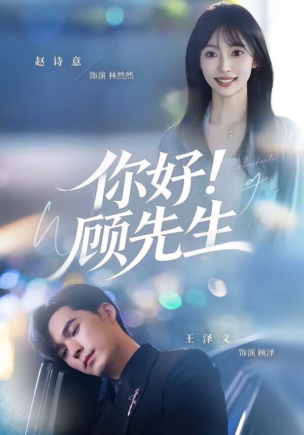 你好!顾先生(2026)海报