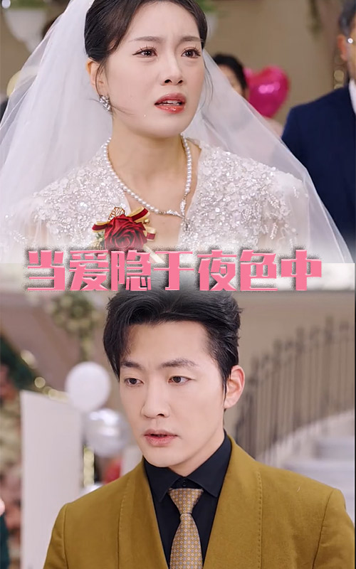 當愛隱於夜色中(2025)海報