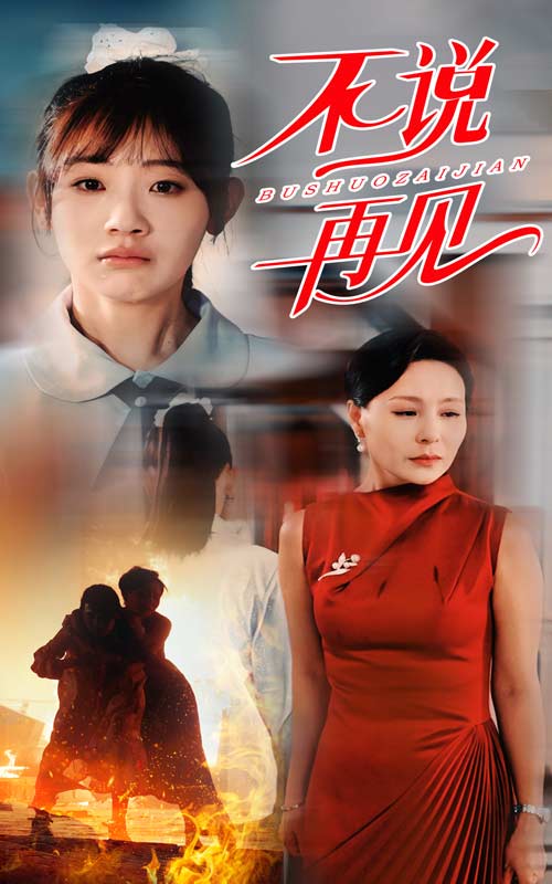 不说再见 短剧版(2024)海报